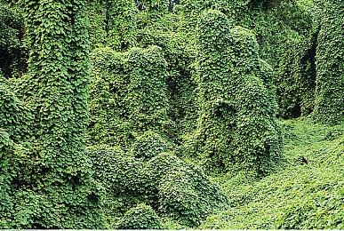 《沙丘：觉醒》加长新预告公布 6月10日正式发售